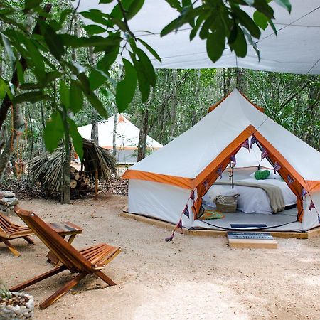 Glamping Mama Loo Mm 莫雷洛斯港 外观 照片