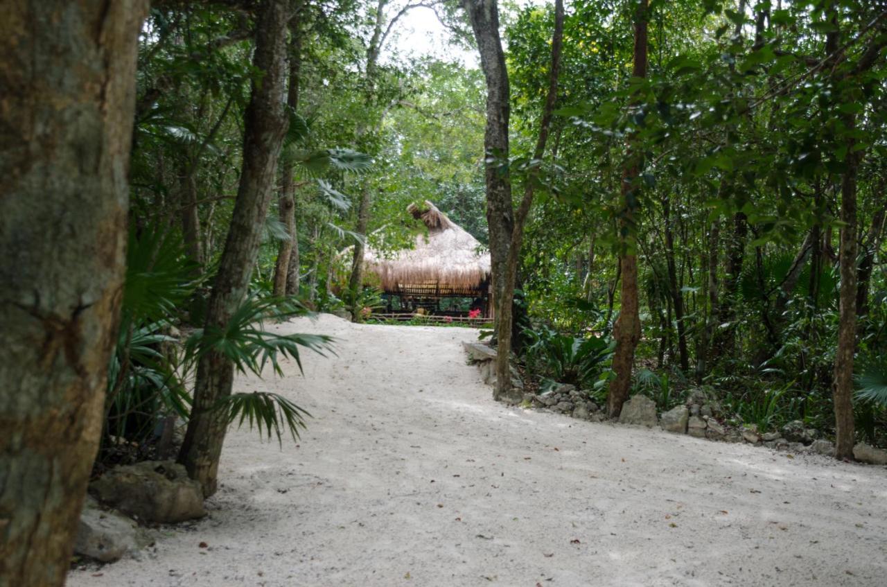 Glamping Mama Loo Mm 莫雷洛斯港 外观 照片