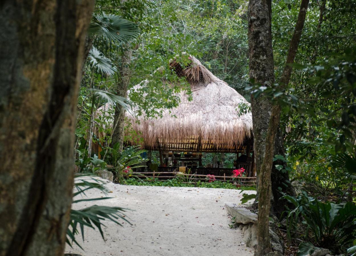 Glamping Mama Loo Mm 莫雷洛斯港 外观 照片