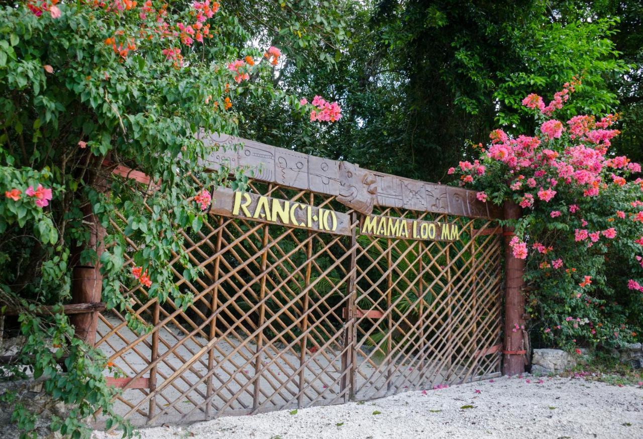 Glamping Mama Loo Mm 莫雷洛斯港 外观 照片