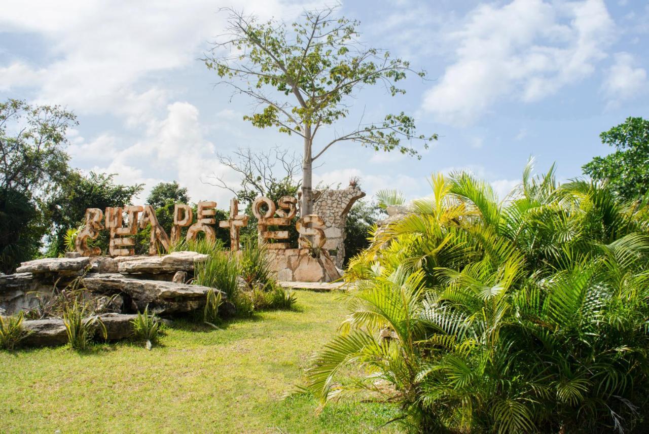Glamping Mama Loo Mm 莫雷洛斯港 外观 照片