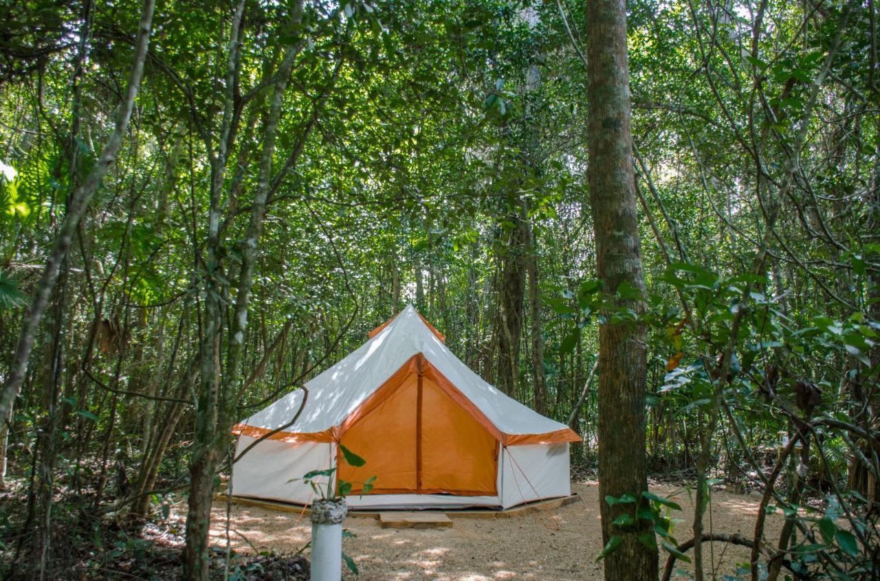 Glamping Mama Loo Mm 莫雷洛斯港 外观 照片