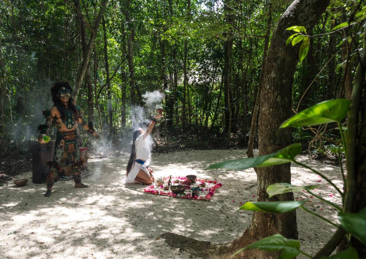 Glamping Mama Loo Mm 莫雷洛斯港 外观 照片