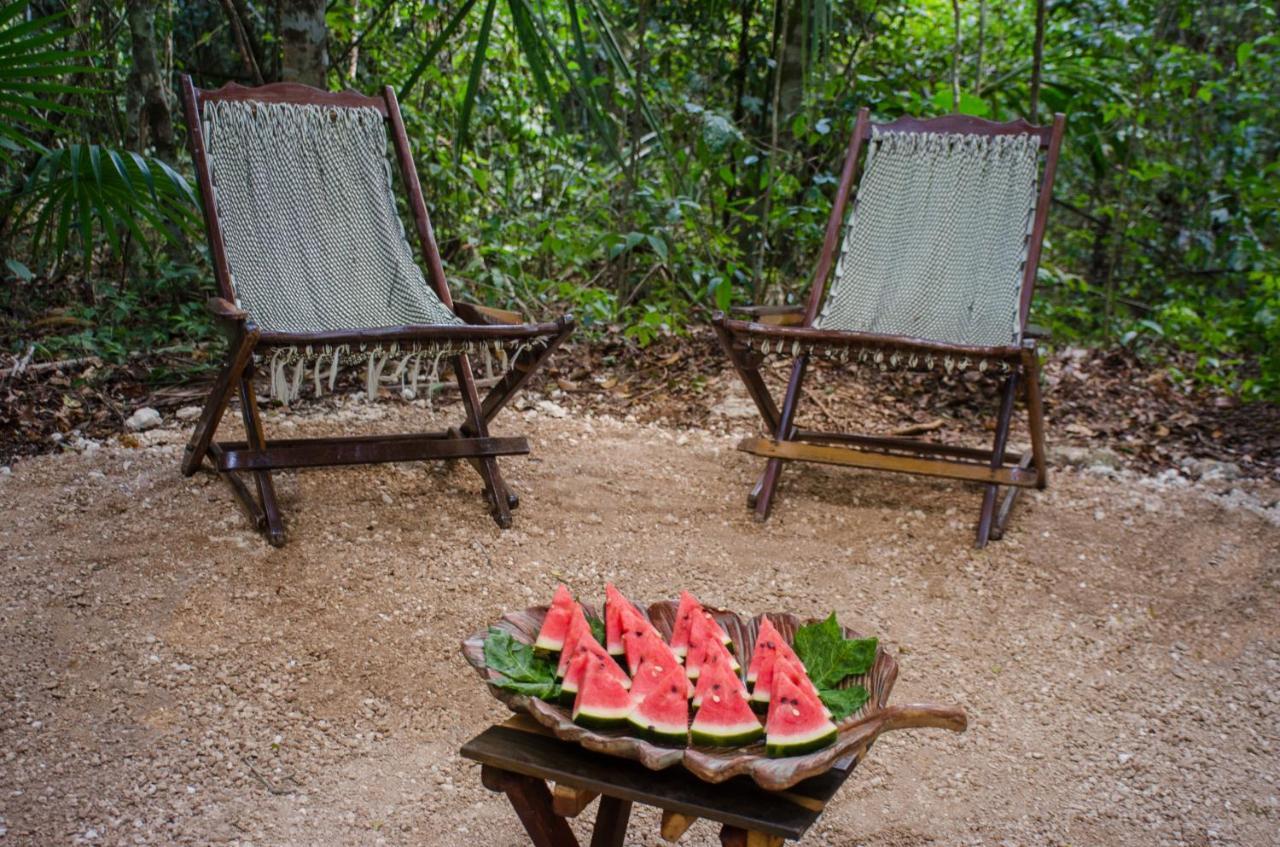 Glamping Mama Loo Mm 莫雷洛斯港 外观 照片