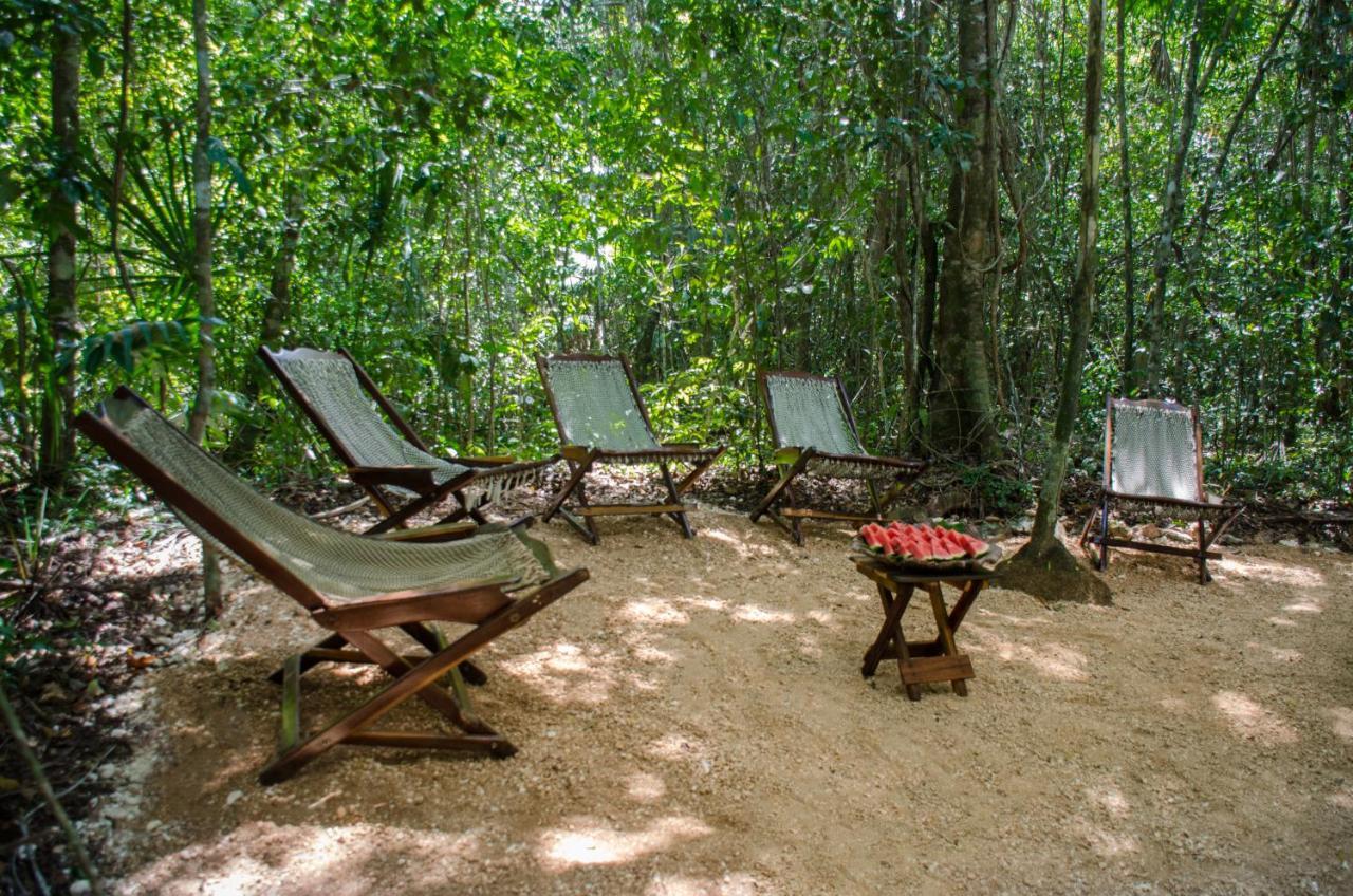 Glamping Mama Loo Mm 莫雷洛斯港 外观 照片
