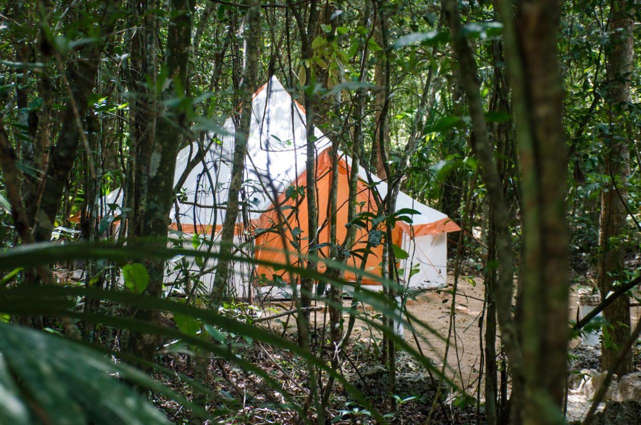 Glamping Mama Loo Mm 莫雷洛斯港 外观 照片