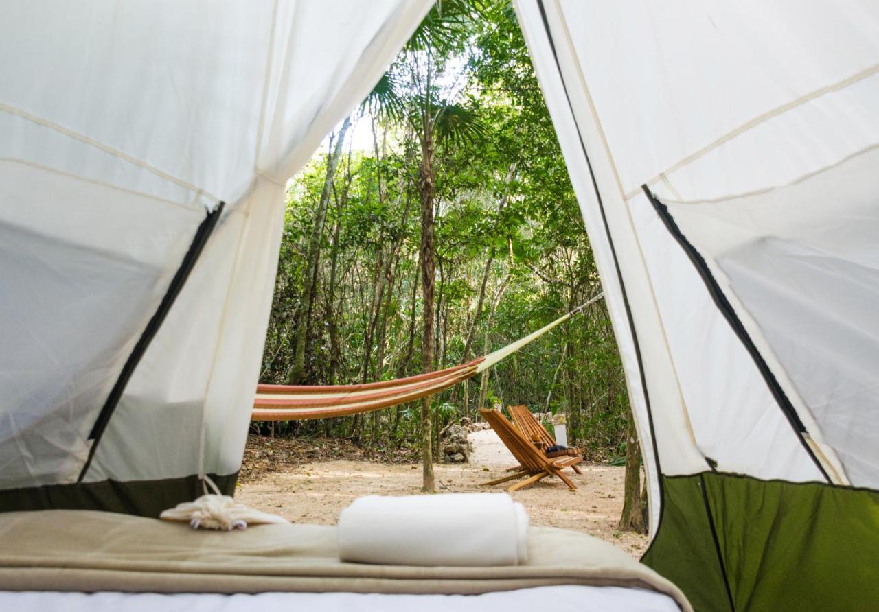 Glamping Mama Loo Mm 莫雷洛斯港 外观 照片